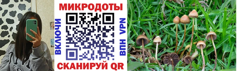Псилоцибиновые грибы Magic Shrooms Мичуринск
